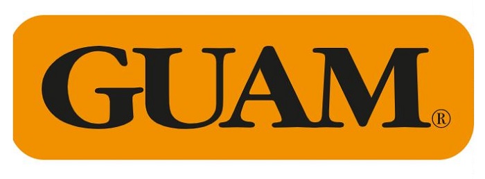 GUAM PANTY VENTRE PIATTO SNELLENTE L-XL 46-50 - Farmaunclick.it