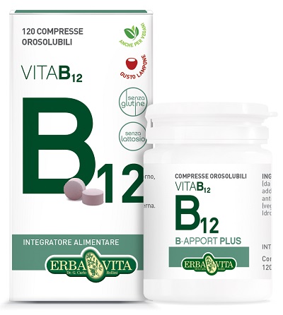 B APPORT PLUS 120 COMPRESSE OROSOLUBILI - Farmaunclick.it