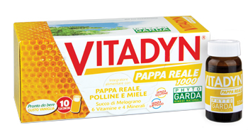 VITADYN PAPPA REALE 1000 10 FLACONCINI 10 ML - Farmaunclick.it