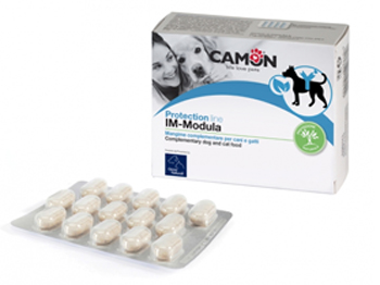 IMMODULA 60 COMPRESSE - Farmaunclick.it