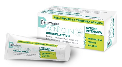 DERMOVITAMINA ACNECLIN IDROGEL 40 ML - Farmaunclick.it
