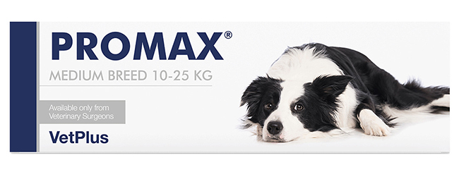 PROMAX MEDIUM BREED 18 ML - Farmaunclick.it