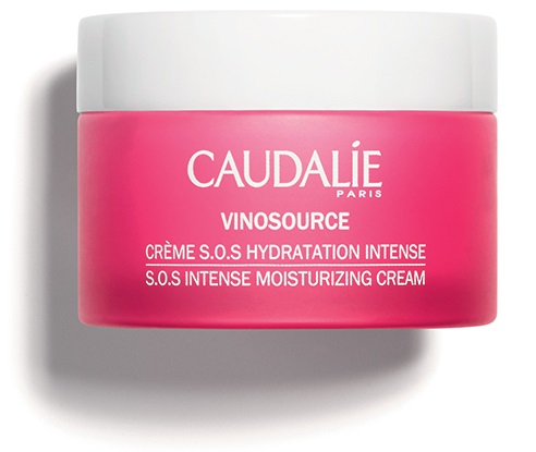 CAUDALIE VINOSOURCE CREME FONDANTE NOURRISSANTE 40 ML - Farmaunclick.it