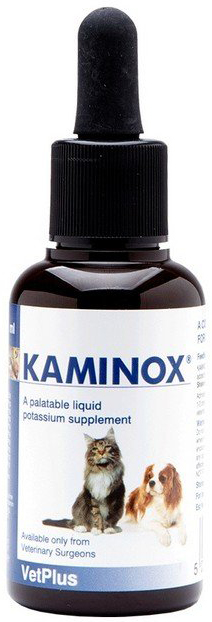 KAMINOX SCIROPPO 60 ML - Farmaunclick.it