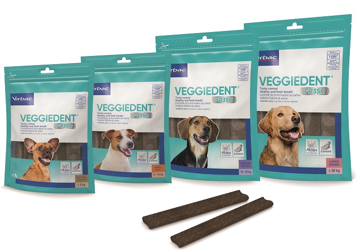 VEGGIEDENT FR3SH L 15 STICK - Farmaunclick.it