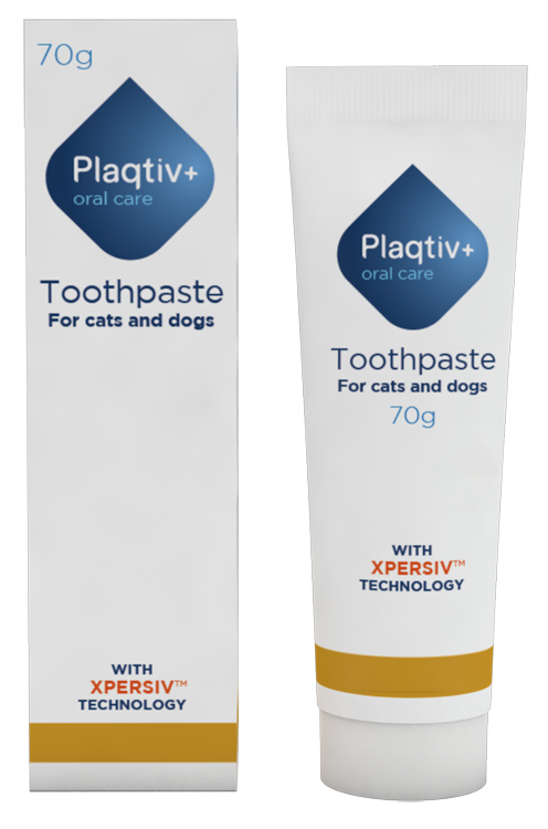 PLAQTIV+ ORAL CARE DENTIFRICIO IN PASTA 70 G - Farmaunclick.it