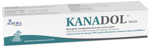 KANADOL PASTA 30 G - Farmaunclick.it